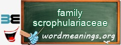 WordMeaning blackboard for family scrophulariaceae